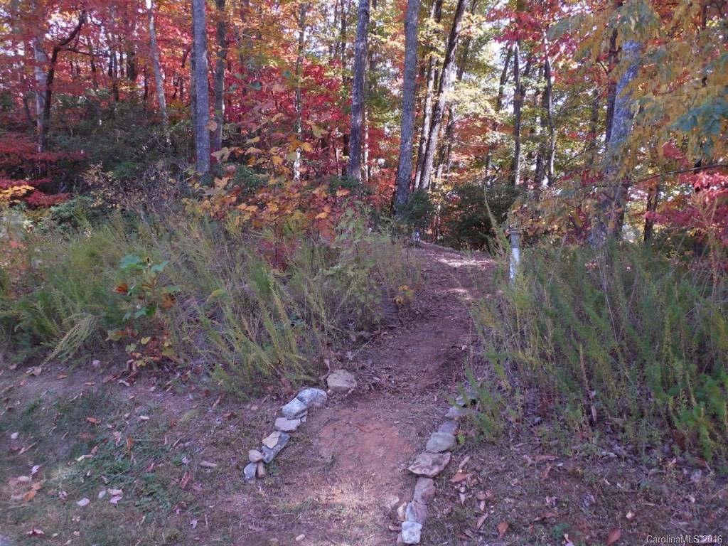 Catawba Falls Preserve - Land