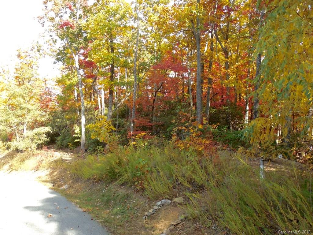 Catawba Falls Preserve - Land