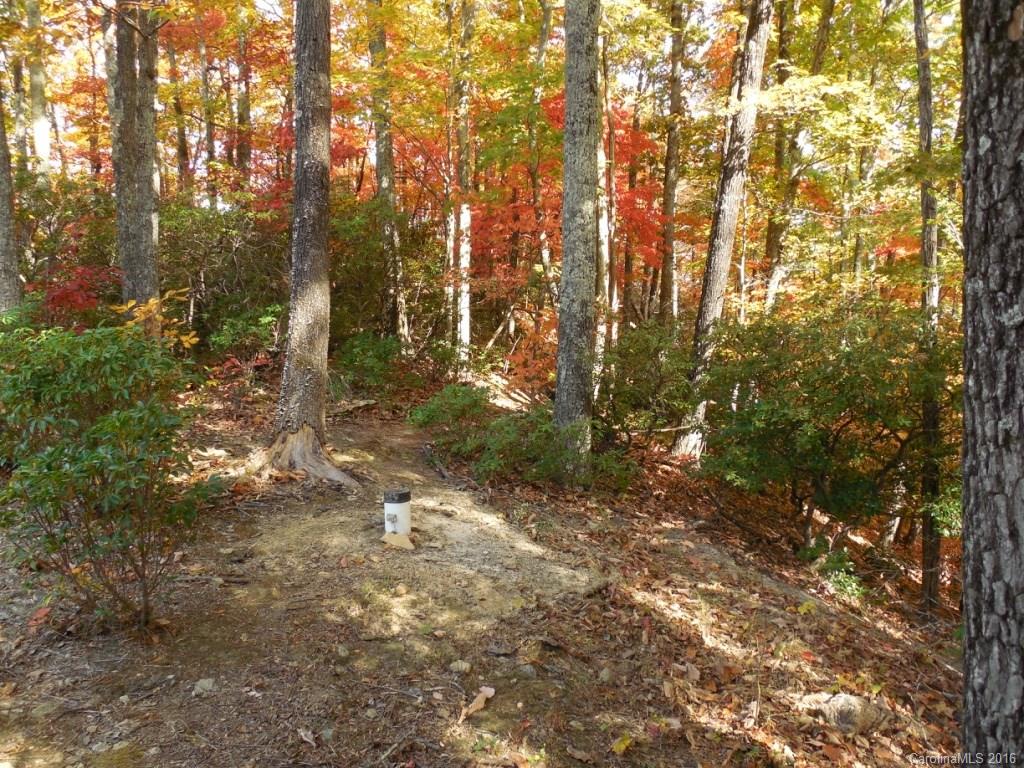 Catawba Falls Preserve - Land