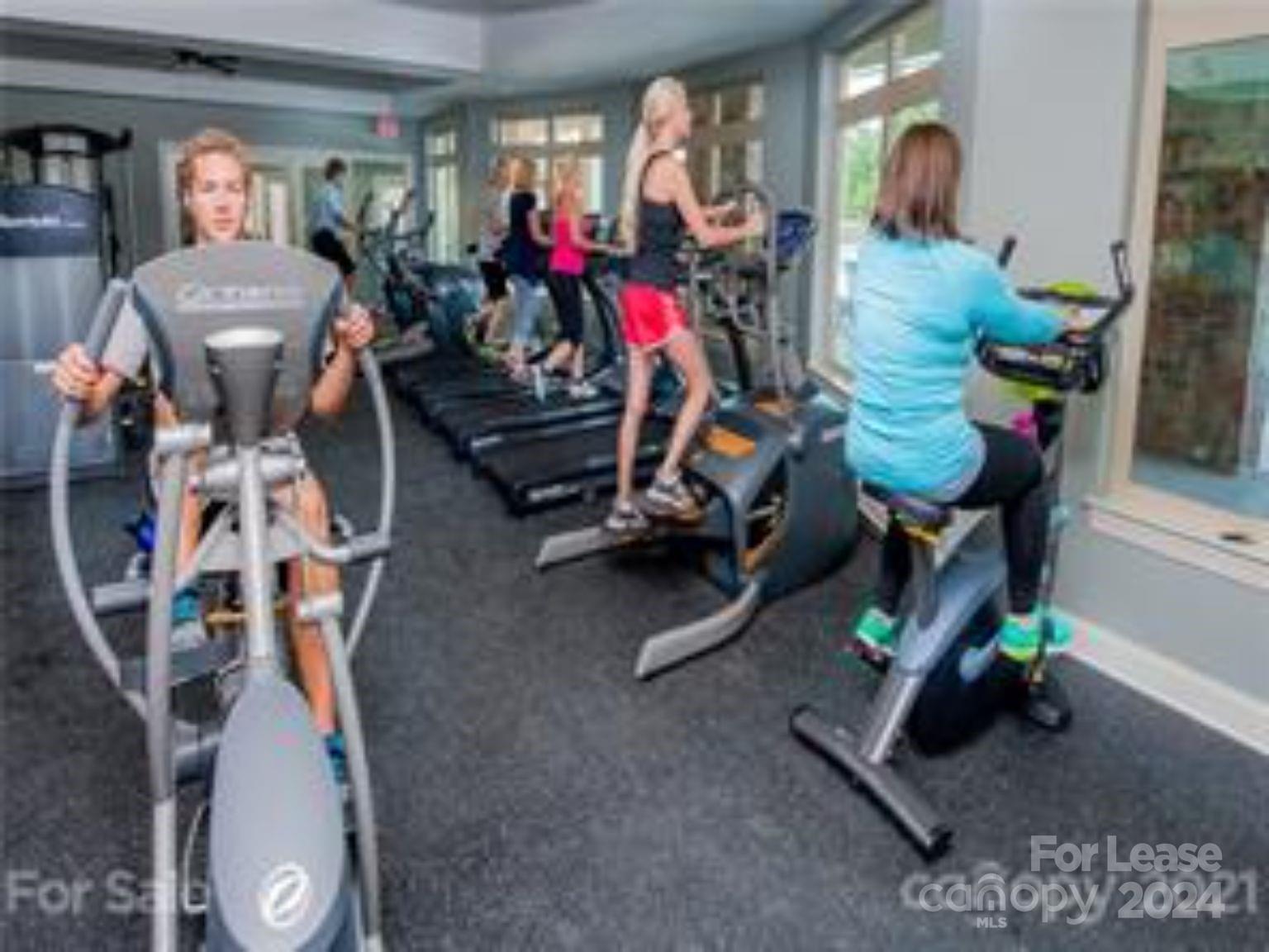 The palisades - Residential Lease