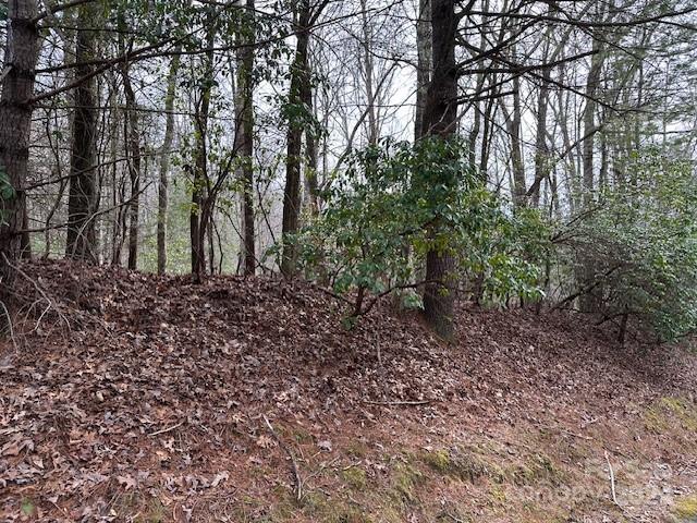 Connestee Falls - Land