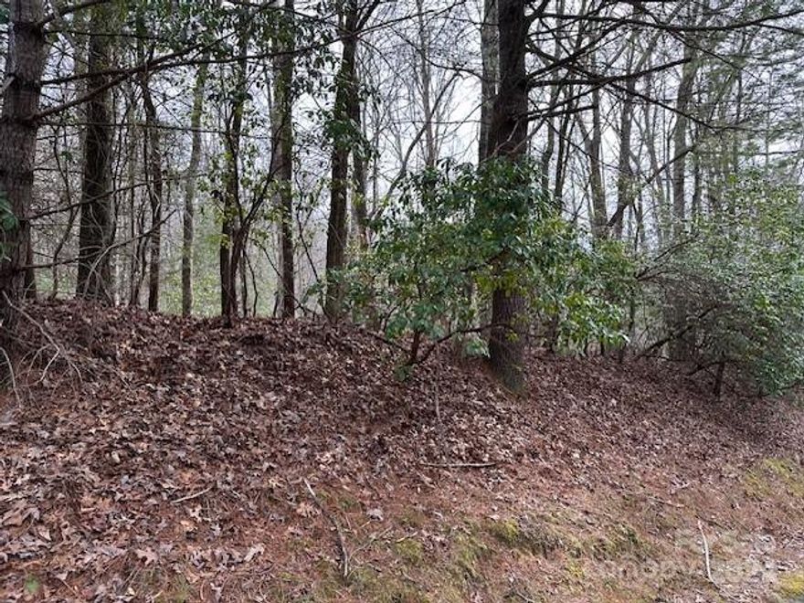 Connestee Falls Gated community. Double lot includes Pin # 8592-16-9881 and #8592-16-9706
Great building lot on a quiet street, backs up to green space. Close to East Fork Gate and amenities.Come take a look and build your dream home today!  First time buyers pay Amenity Reserve Fee, $13,000 due at Certificate of Occupancy.