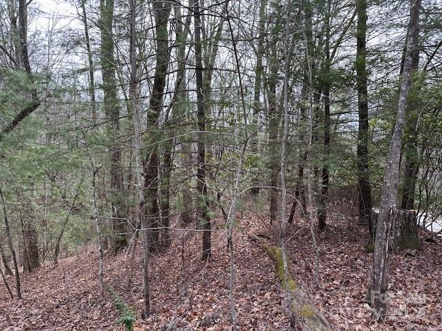 Connestee Falls - Land