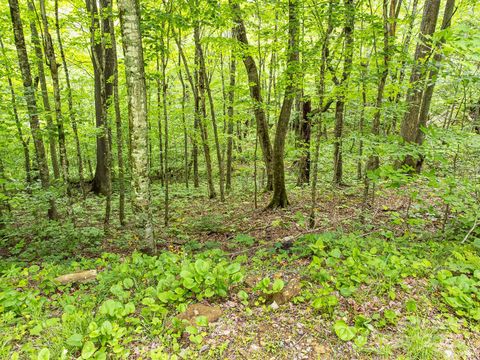 65 Bee Tree Lane Mars Hill NC 28754