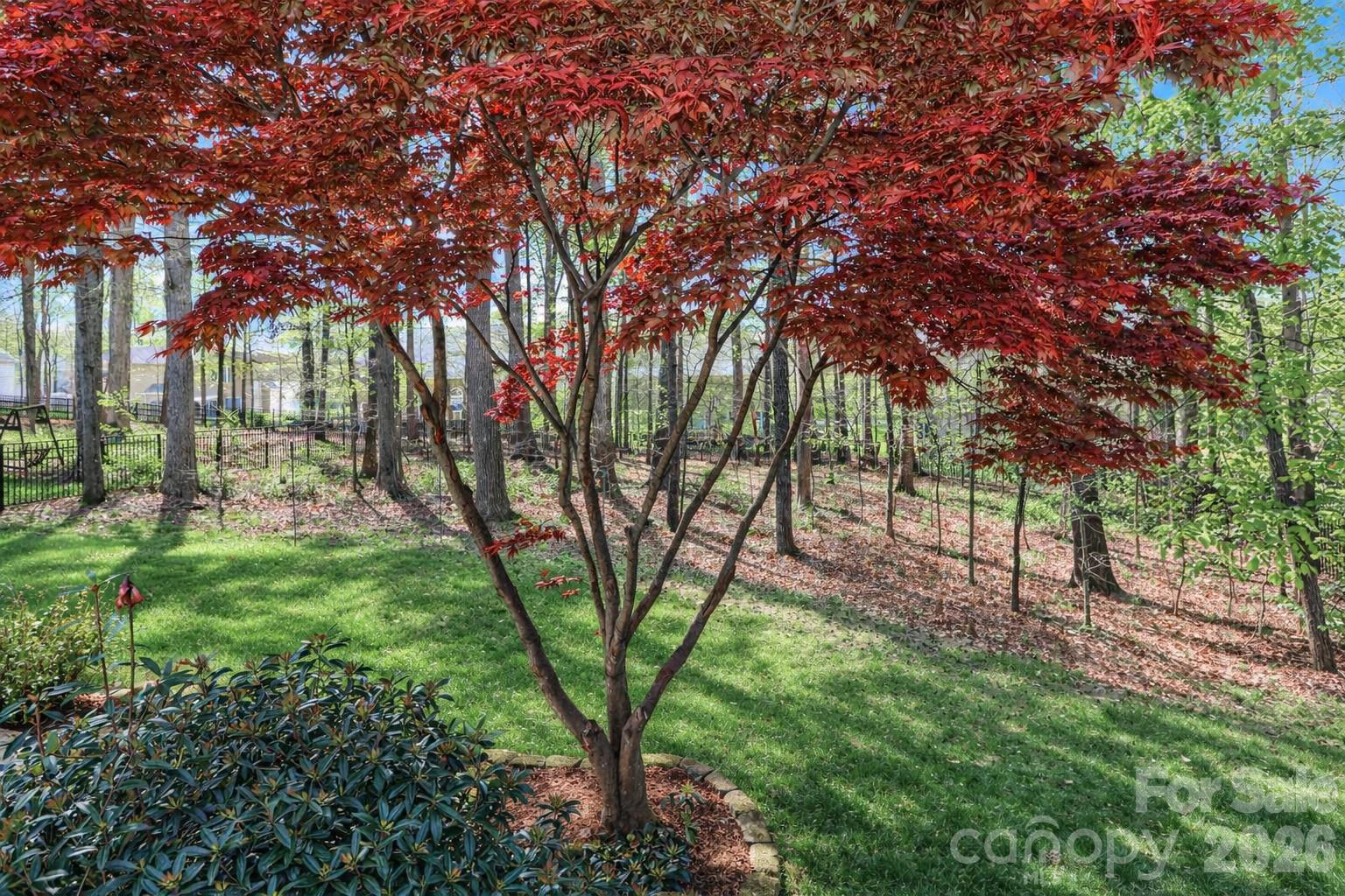 Cherry Grove - Residential