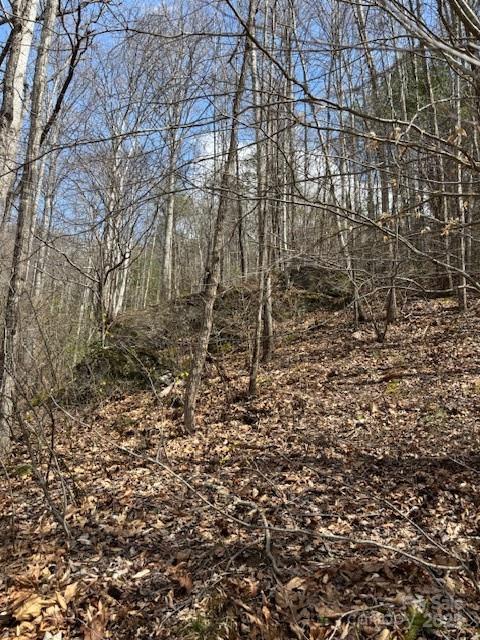 25 Green Meadow Lane 25