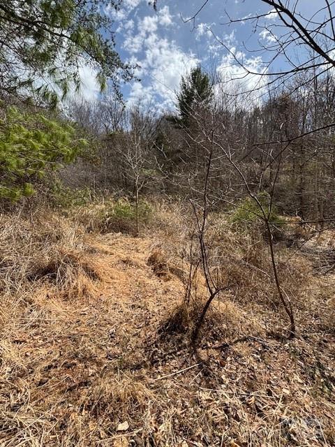 25 Green Meadow Lane 25