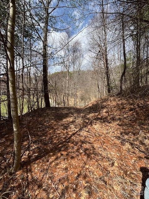 25 Green Meadow Lane 25