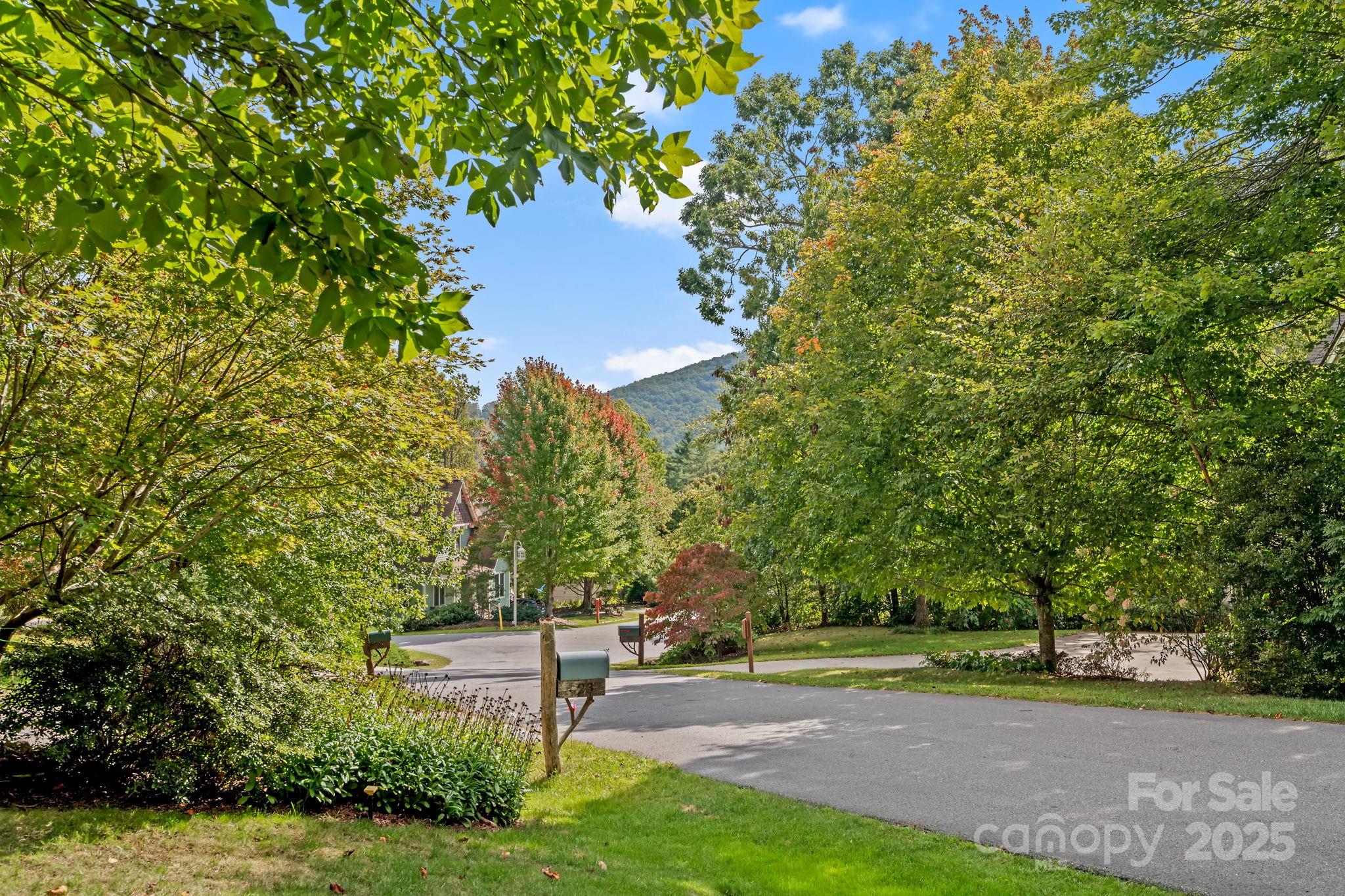 25 E Owl Creek Lane