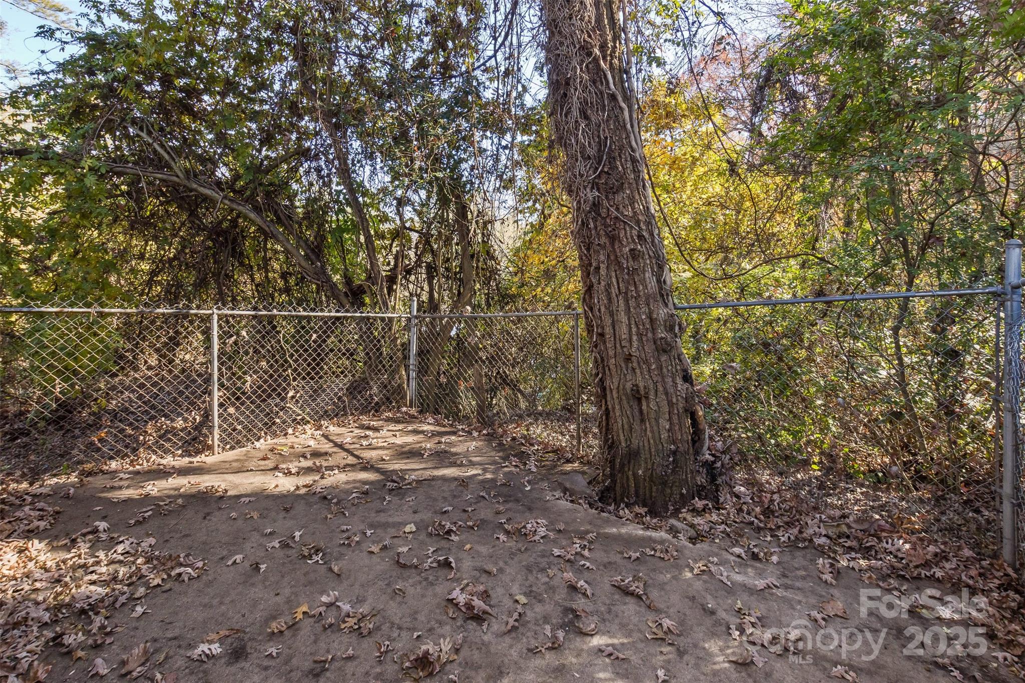 Fibreville-Skyland Terrace - Residential