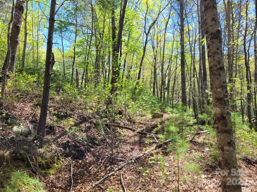 Lot 21 Little Fox Run