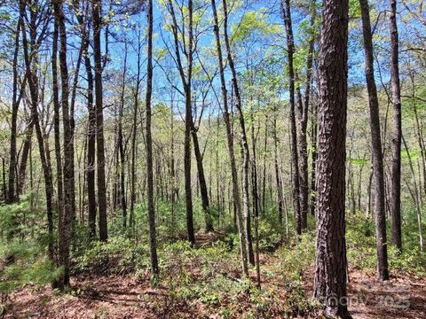Lot 21 Little Fox Run Marion NC 28752