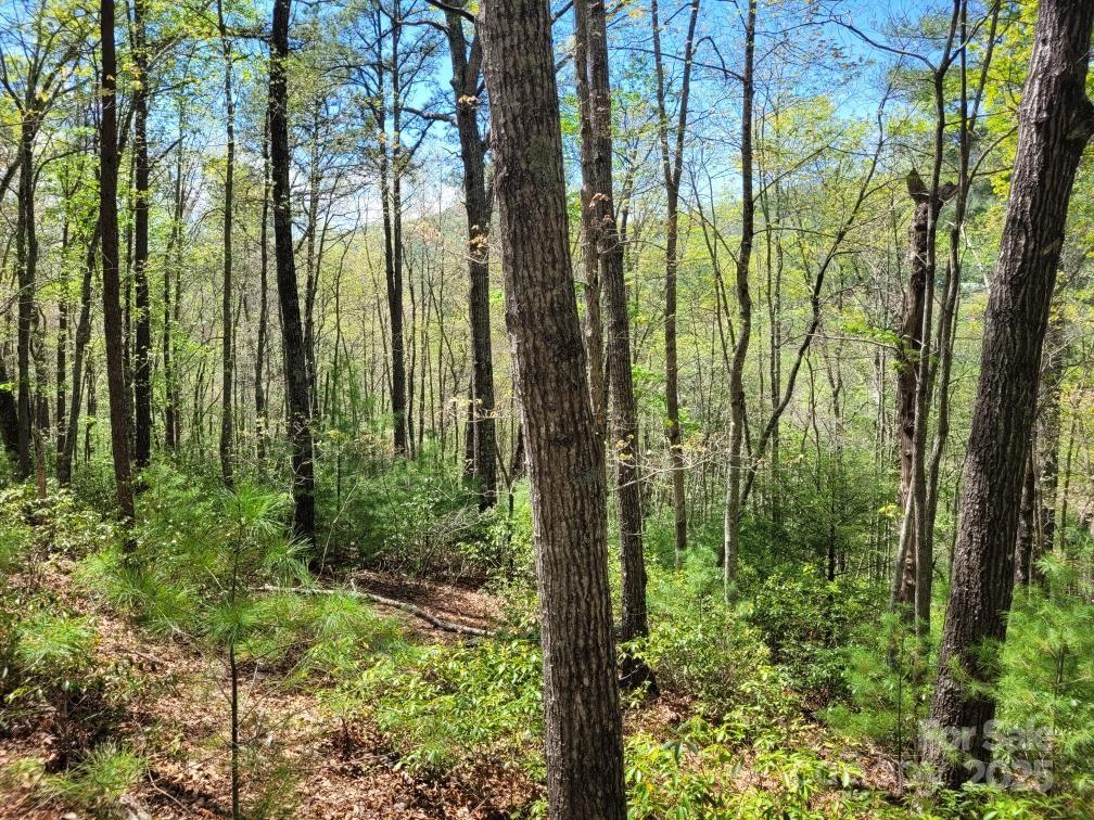 Lot 21 Little Fox Run