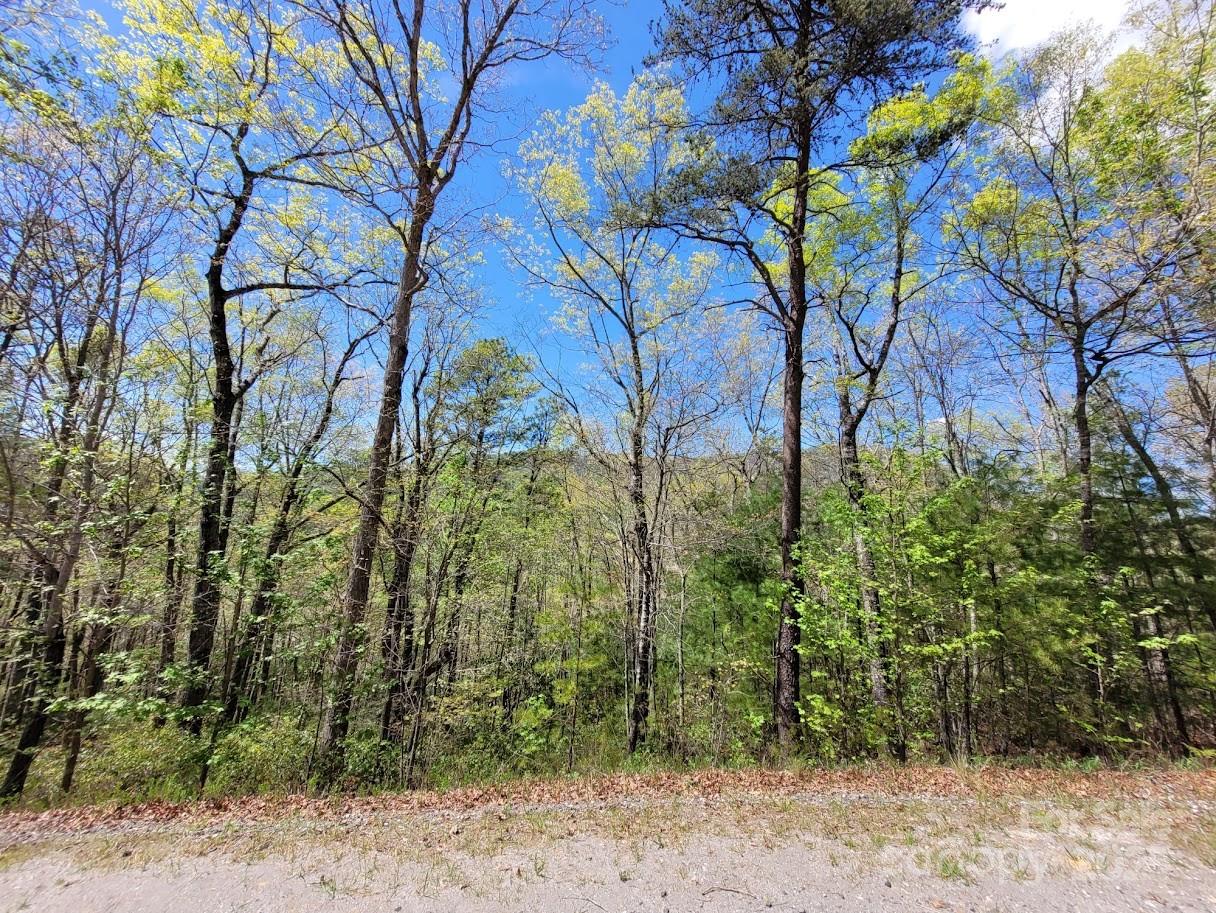 Lot 21 Little Fox Run