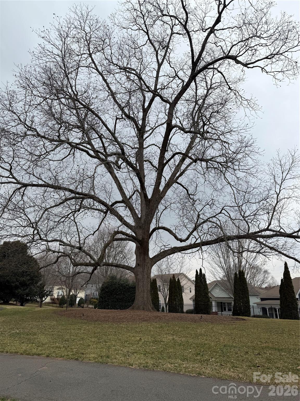 10305 Misty Moss Court