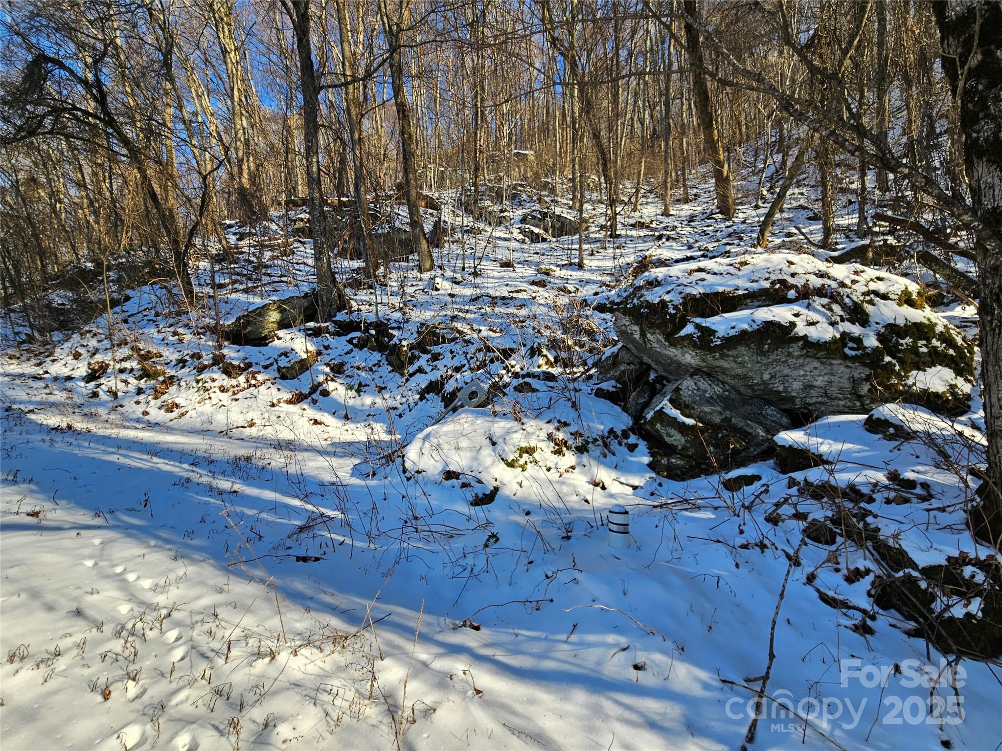 Wolf Pen Meadows - Land