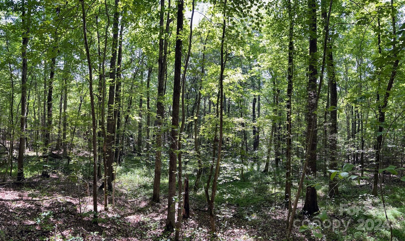 Three Lakes Preserve - Land