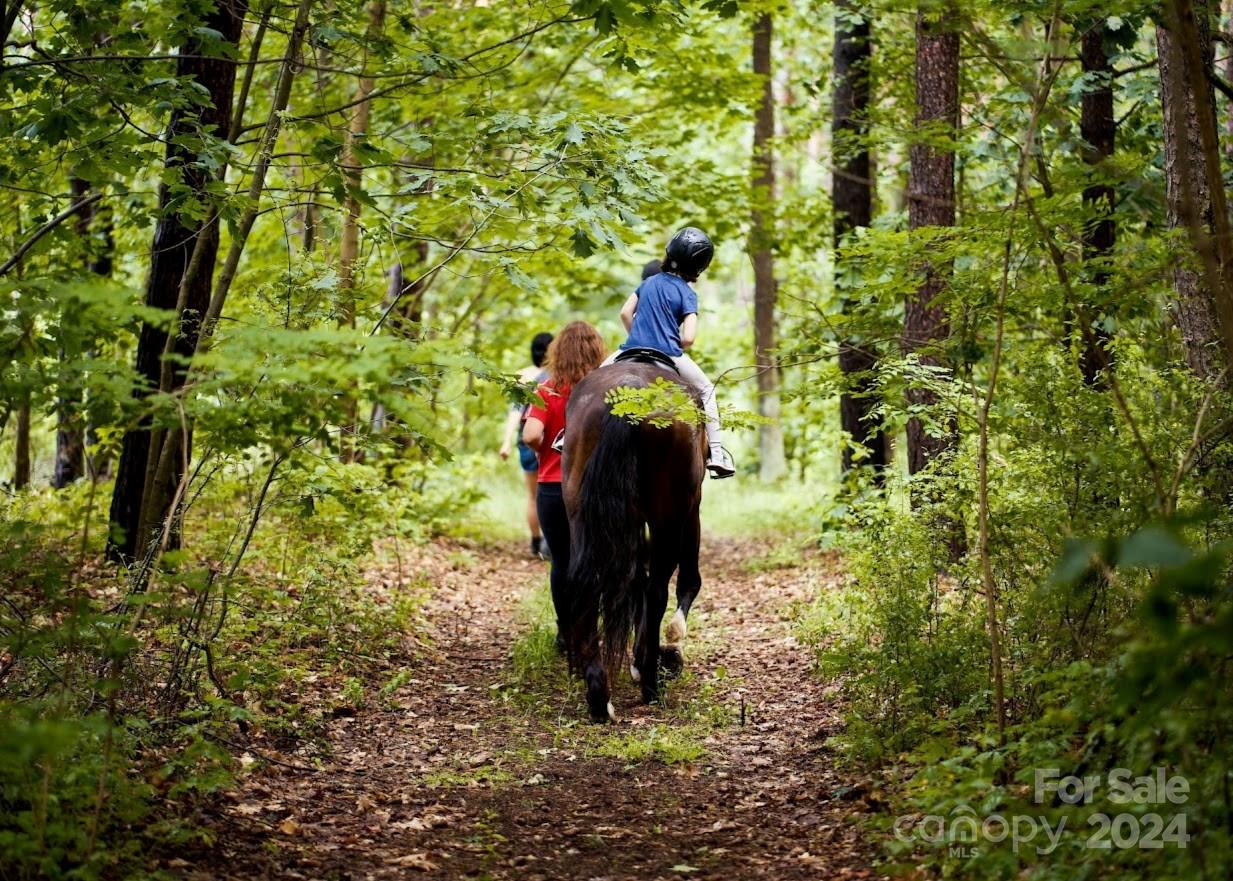 Three Lakes Preserve - Land