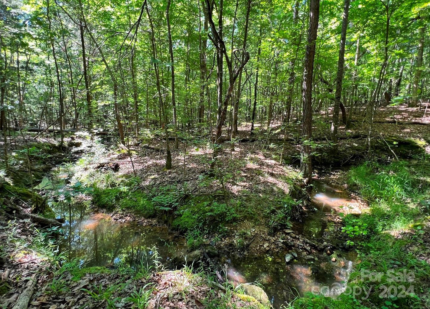Three Lakes Preserve - Land