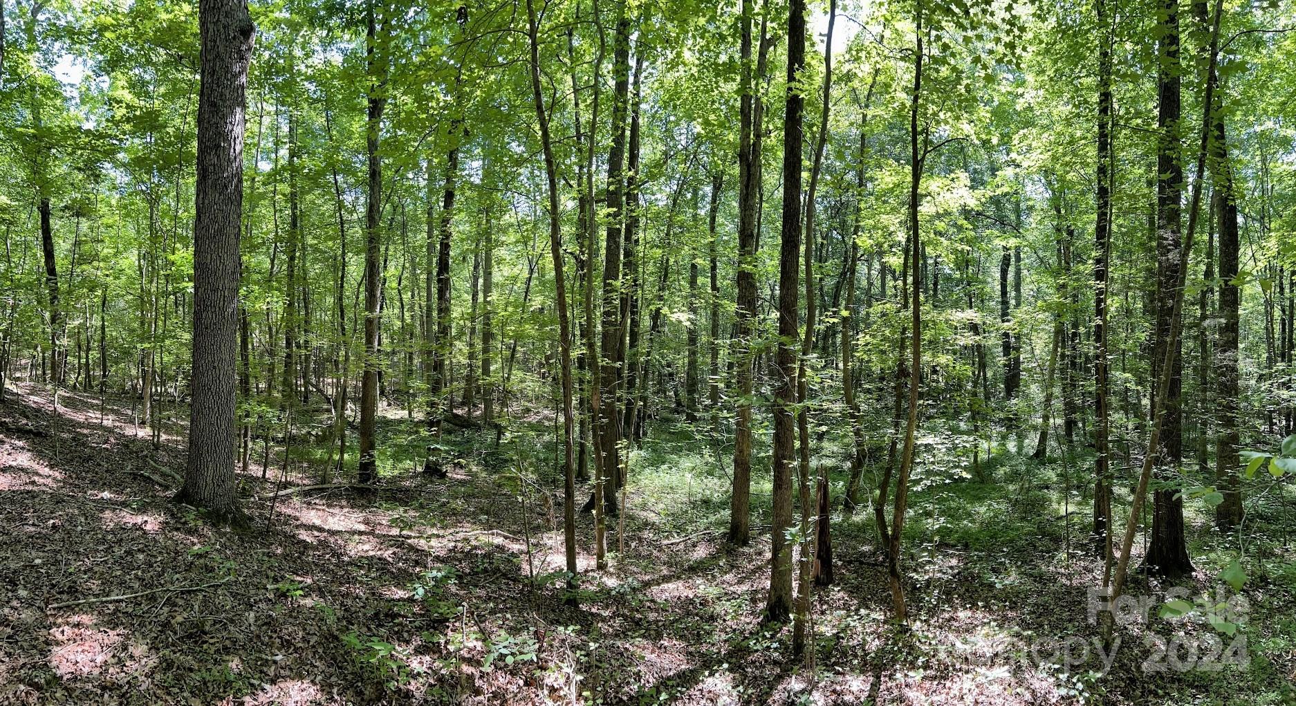 Three Lakes Preserve - Land