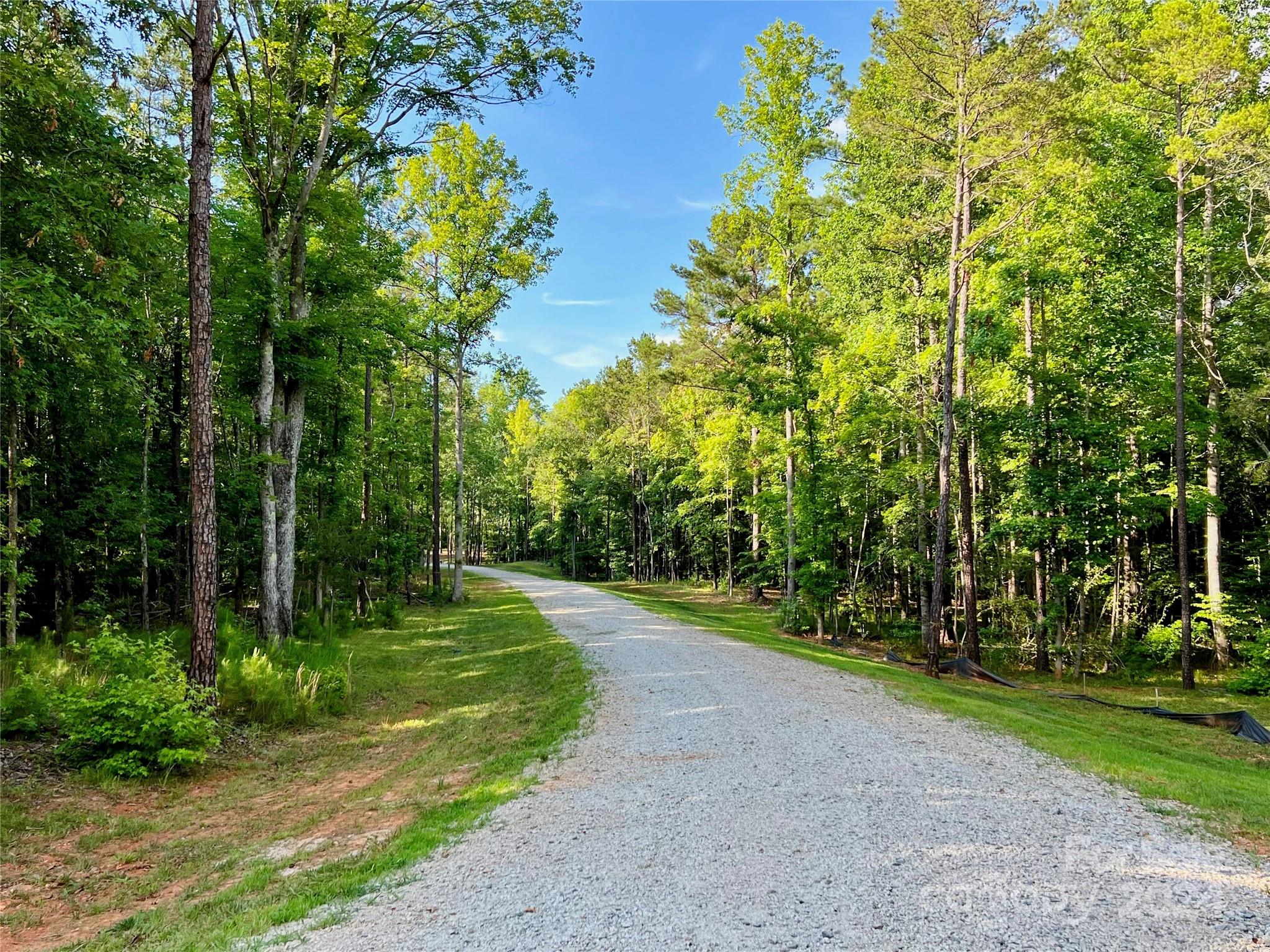 Three Lakes Preserve - Land