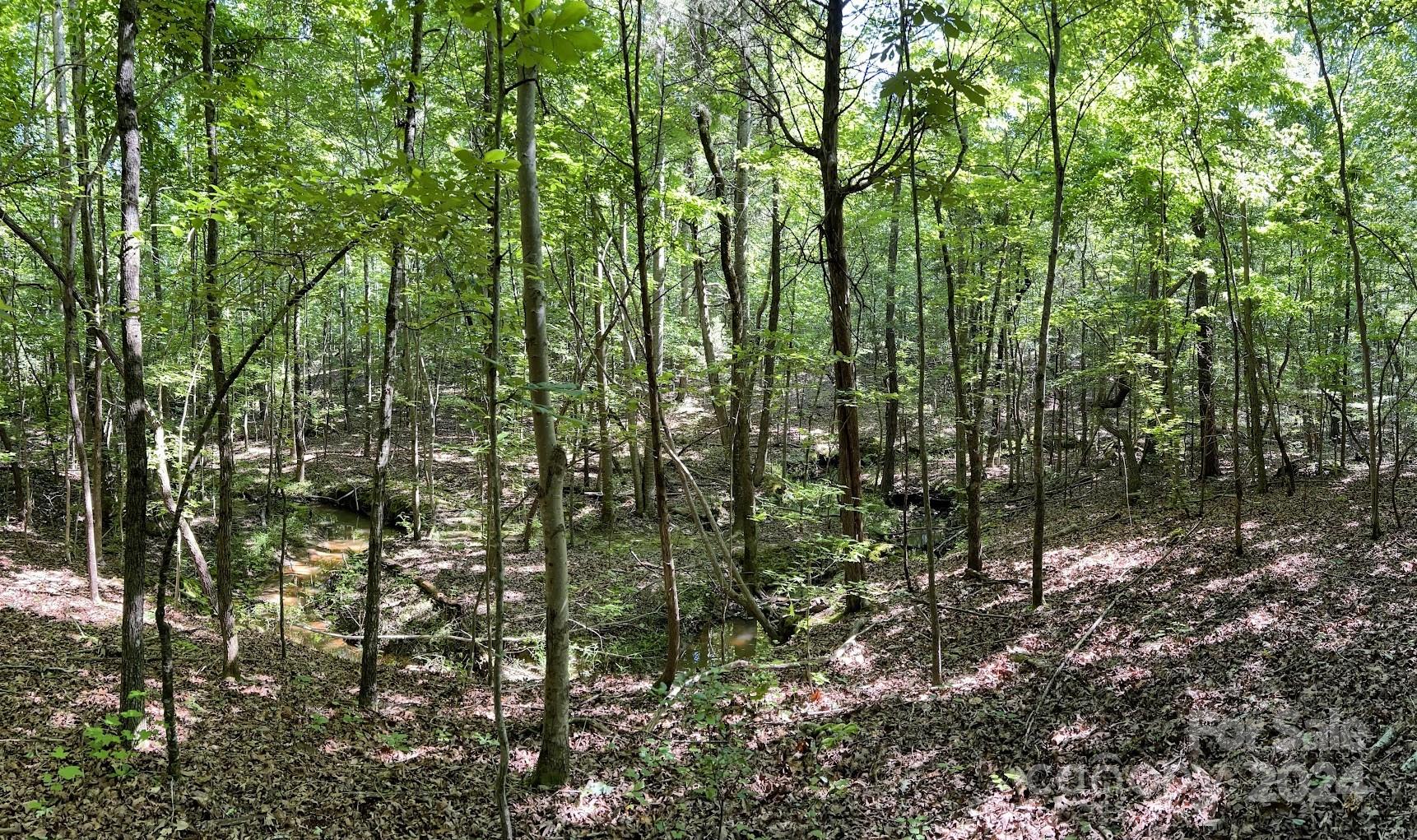Three Lakes Preserve - Land