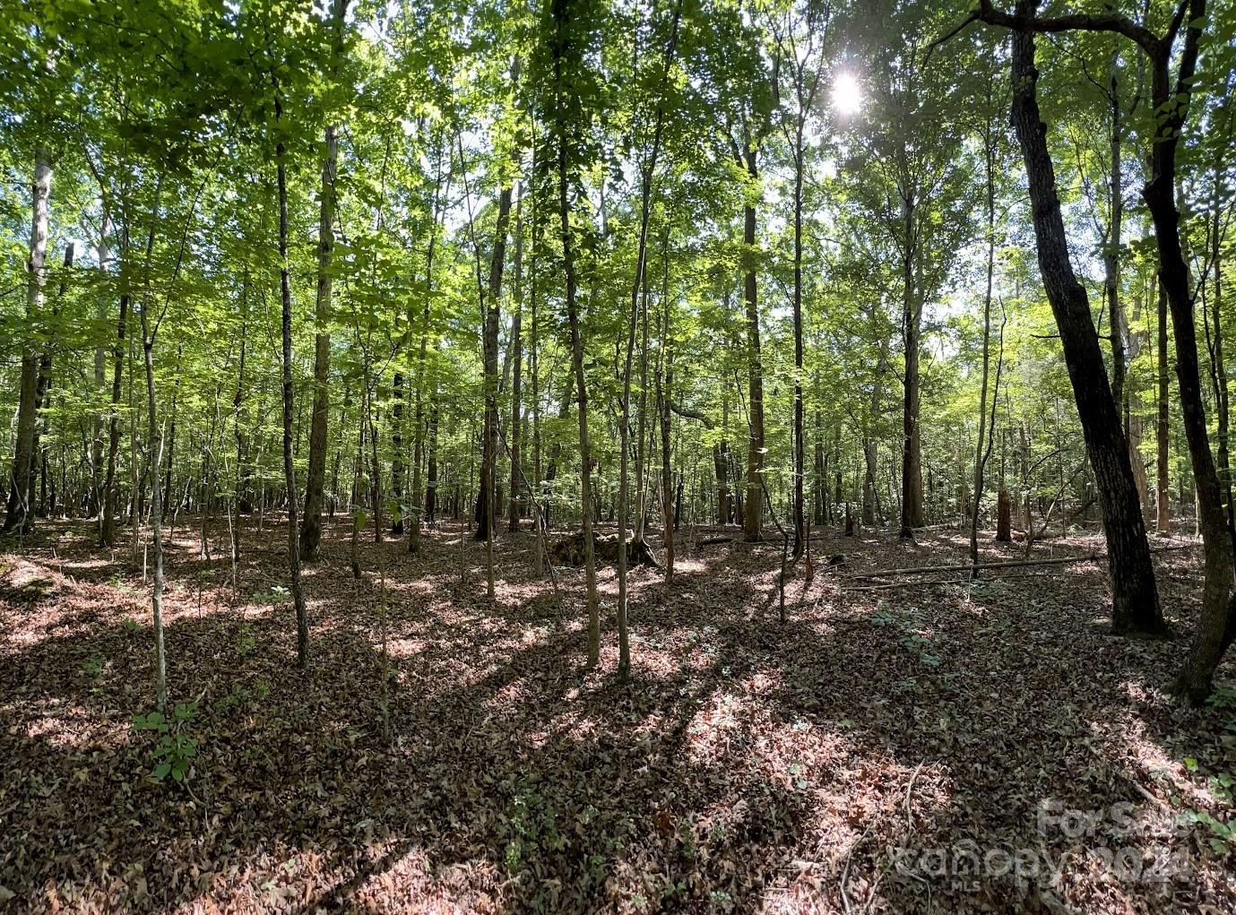 Three Lakes Preserve - Land