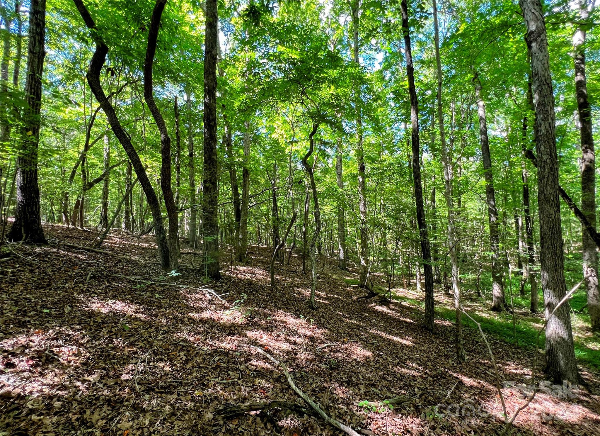 Three Lakes Preserve - Land