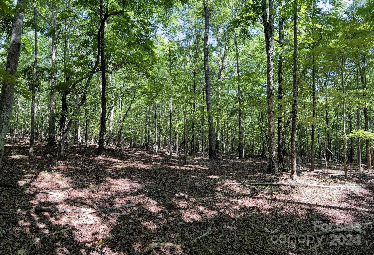 Three Lakes Preserve - Land