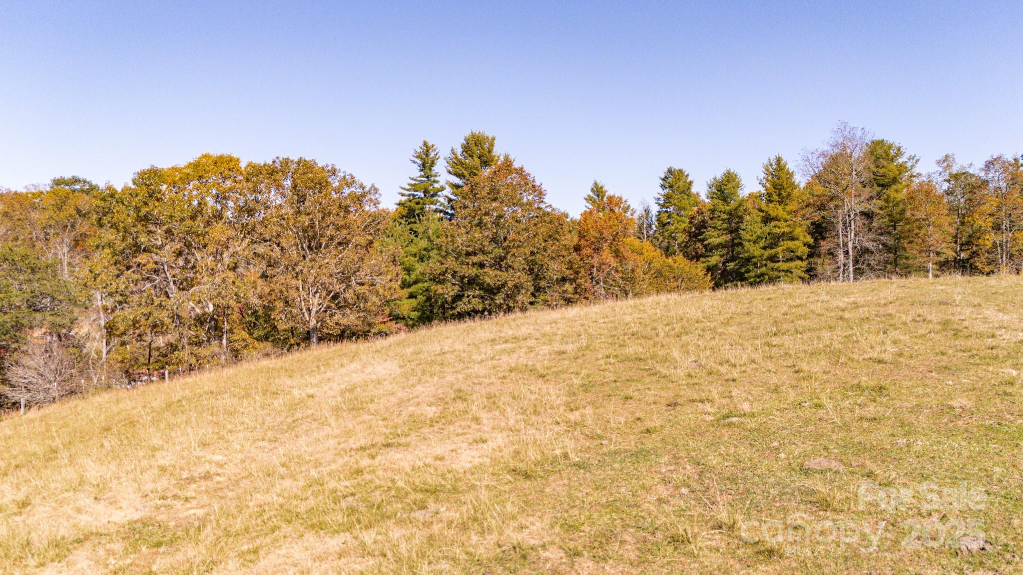 318 Monticello Road
