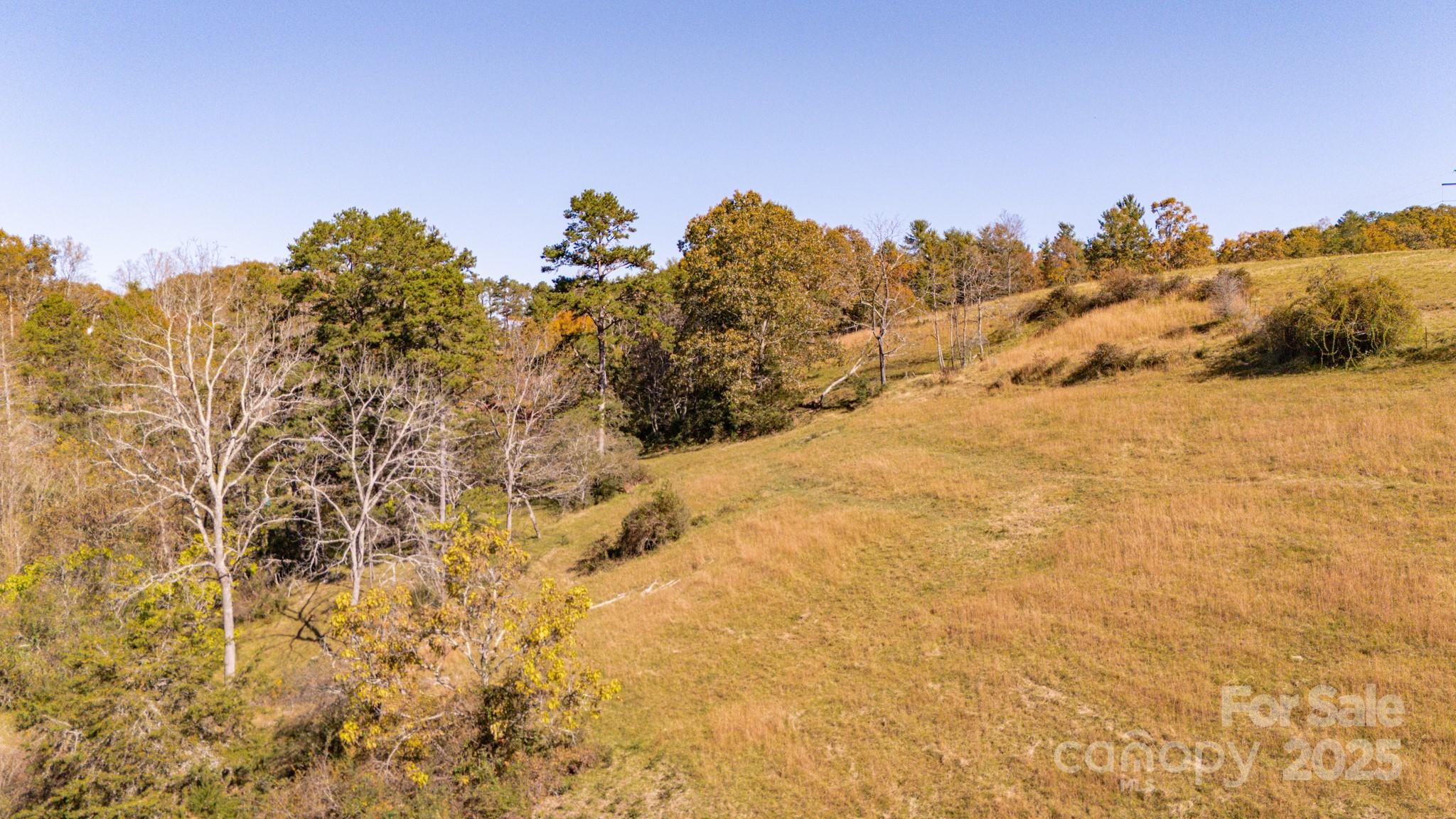 318 Monticello Road