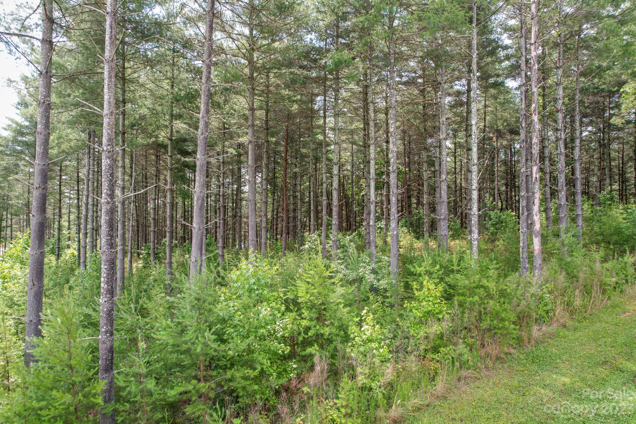 The Peninsula at Lake James - Land