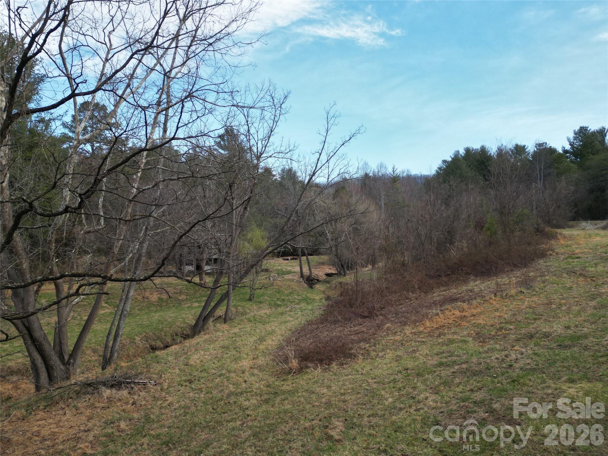 99999/46 Pug Run 4/5