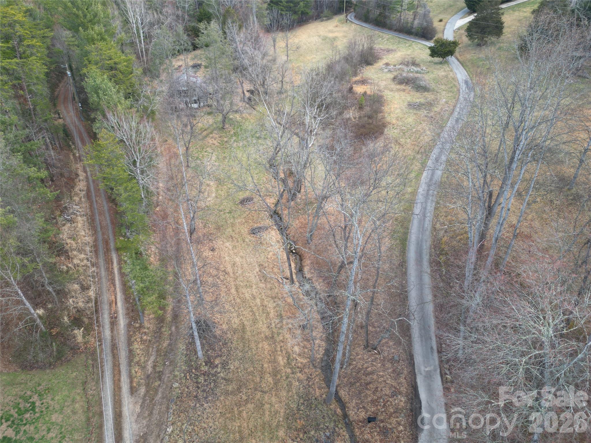 99999/46 Pug Run 4/5