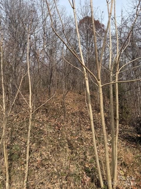 00 Yancey Road Marion NC 28752