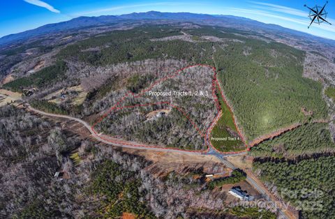 1, 2, 3 & 4 Polk County Line Road Mill Spring NC 28756
