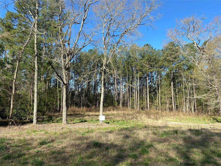 Come create the home of your dreams. Beautiful semi-custom homes just 2 lots down. This 1.26 acres in Rock Hill is just a short 10 minute drive from downtown. The lot has been cleared and graded, just waiting for you to come build. Both the well and septic permits are in place, see attachments. Don't miss out on this opportunity!