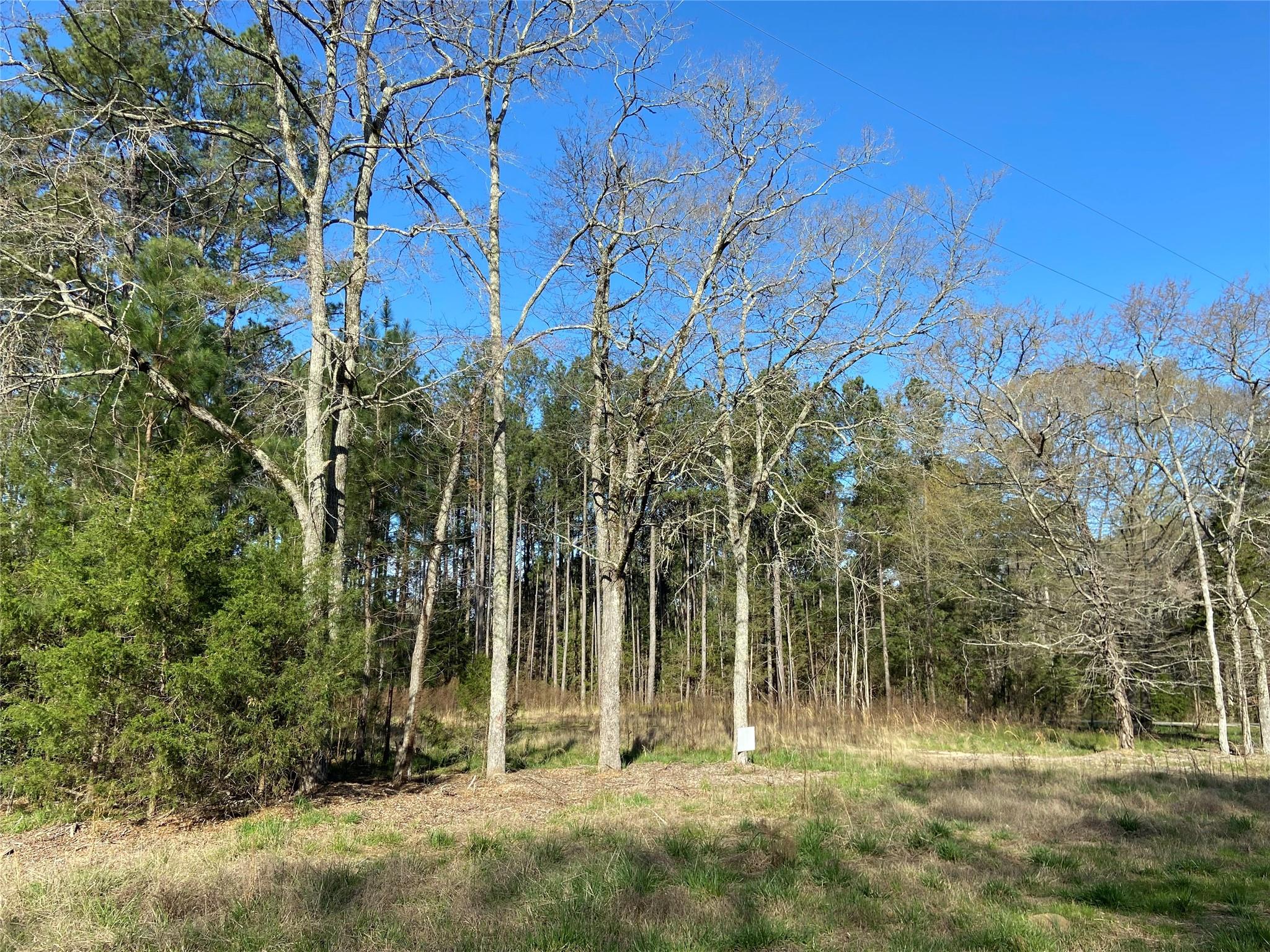 Mcfadden Estates - Land