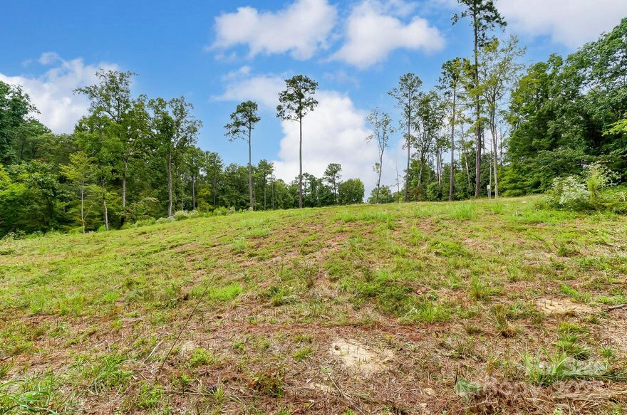 This lot checks all the boxes! Located in great Clover School District, on a level 2.71 acre lot with lots of trees for privacy with a portion cleared ready for the next homeowner. Build your dream home with no HOA and deep well already installed. Located on Allison Creek Peninsula conveniently 1 mile to Allison Creek Park and Boat Landing, Perfect for Lake Days or fishing at the park. Short commute to Charlotte, Clover, Rock Hill and Charlotte Douglas International Airport. Low SC Taxes!