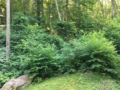 TBD Red Oak Forest Road Fairview NC 28730