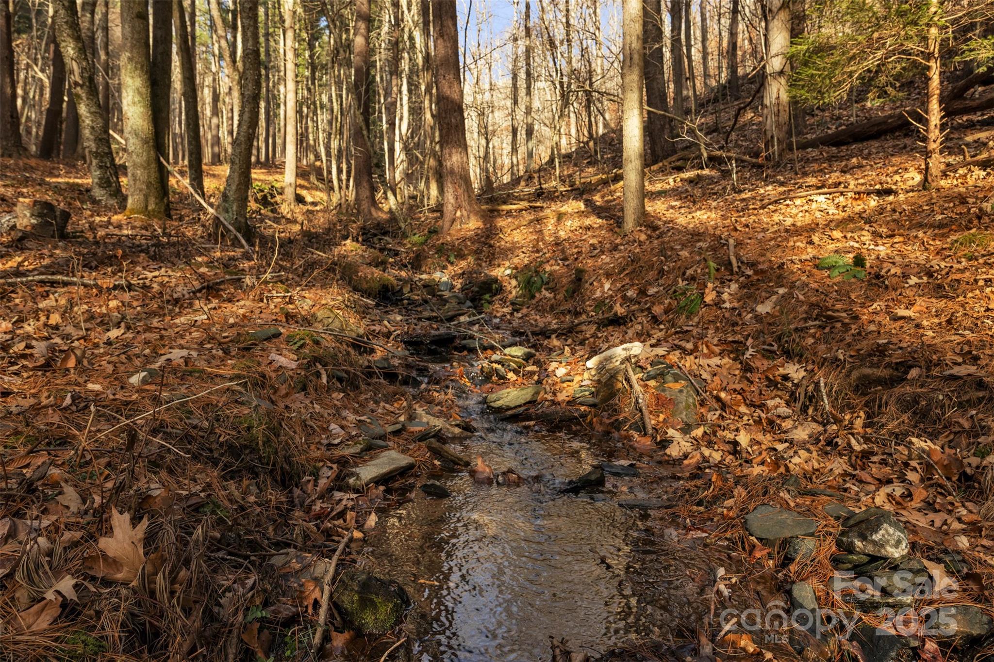 TBD Johnson Hollow Road