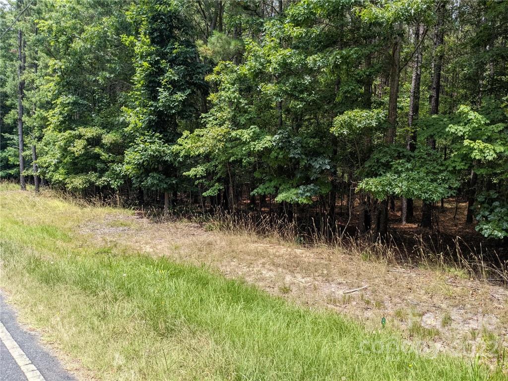 Swift Island Plantation - Land