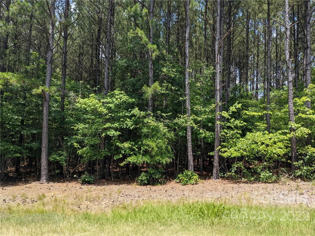 Swift Island Plantation - Land