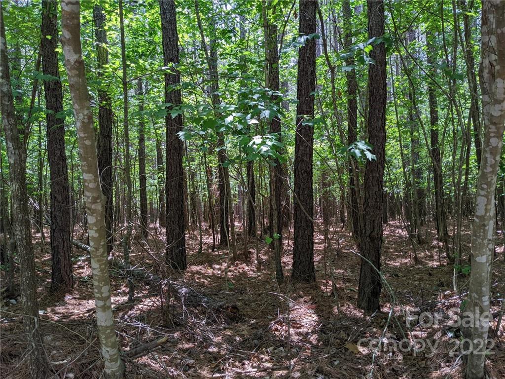 Swift Island Plantation - Land