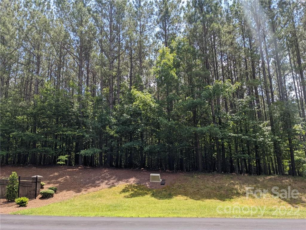 Swift Island Plantation - Land