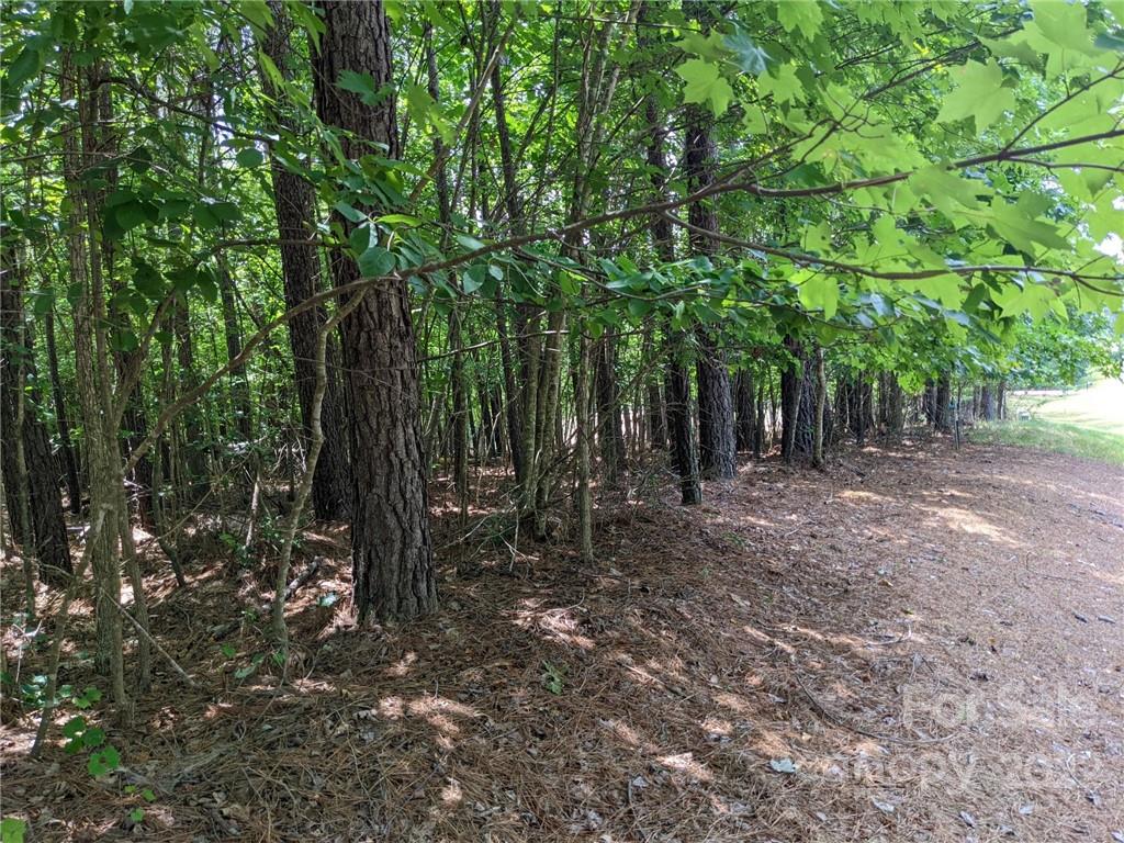 Swift Island Plantation - Land