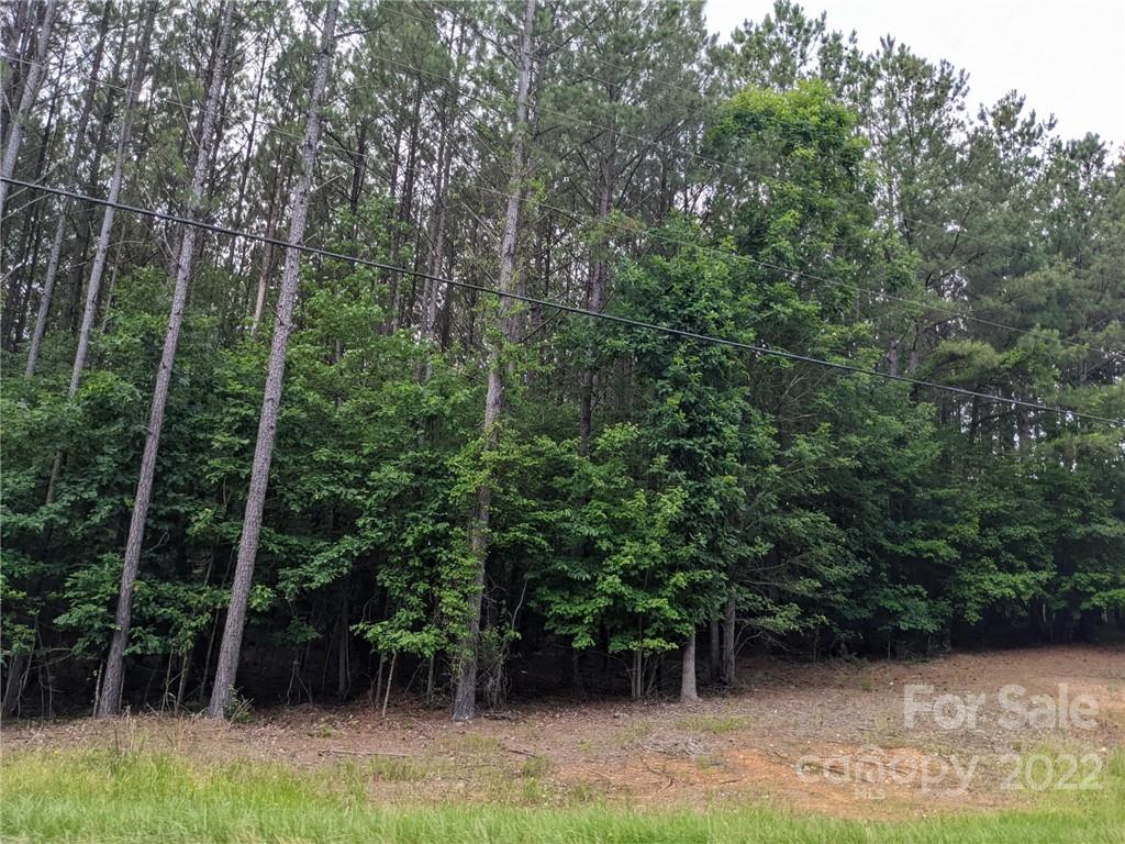 Swift Island Plantation - Land