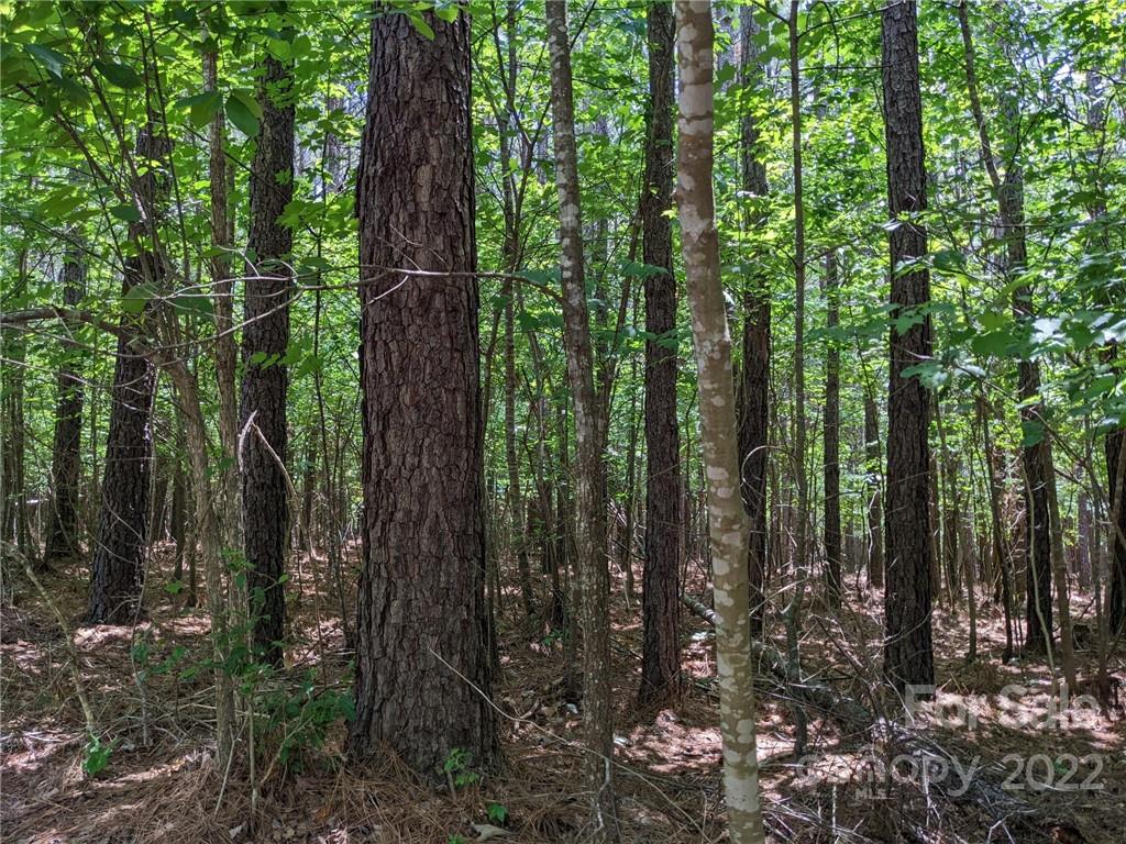 Swift Island Plantation - Land
