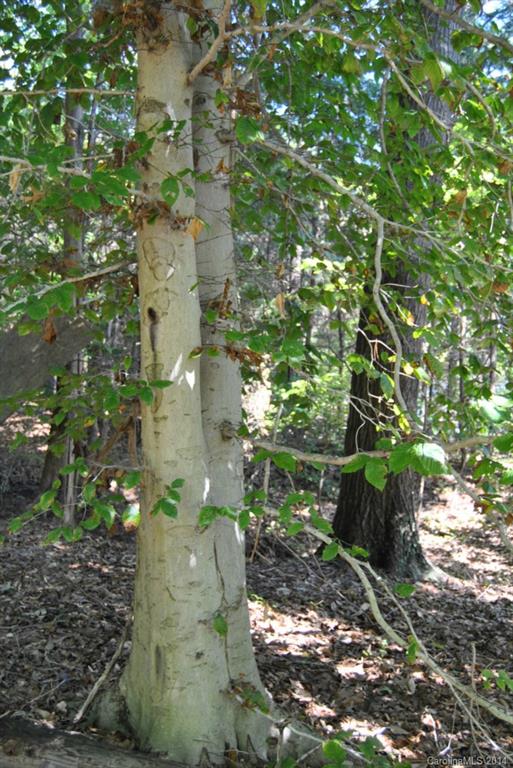 Morrison Point - Land