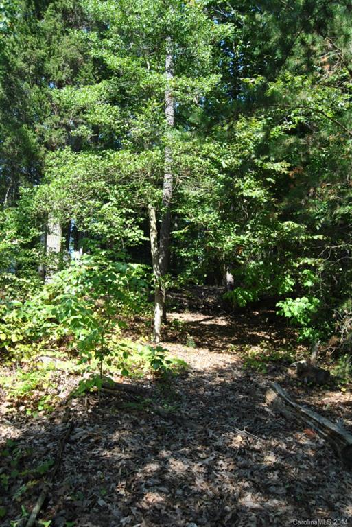 Morrison Point - Land